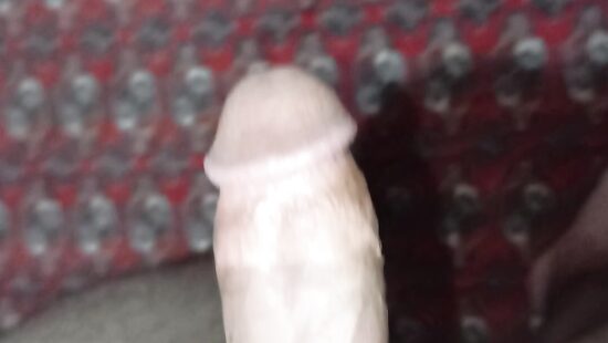 Penis