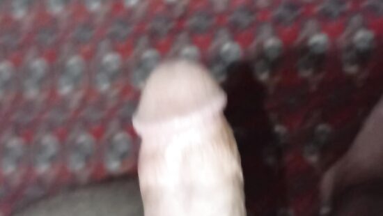 Penis