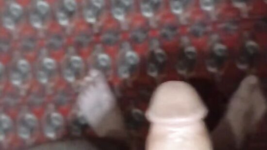 penis     
