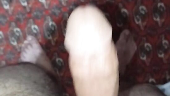penis     