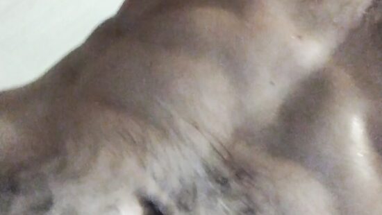 ... 2